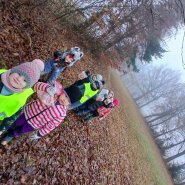 Vánoce pro zvířátka